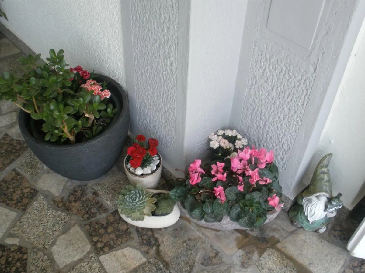 *** Guest house Apartmani I Sobe Mara Palit Croatia