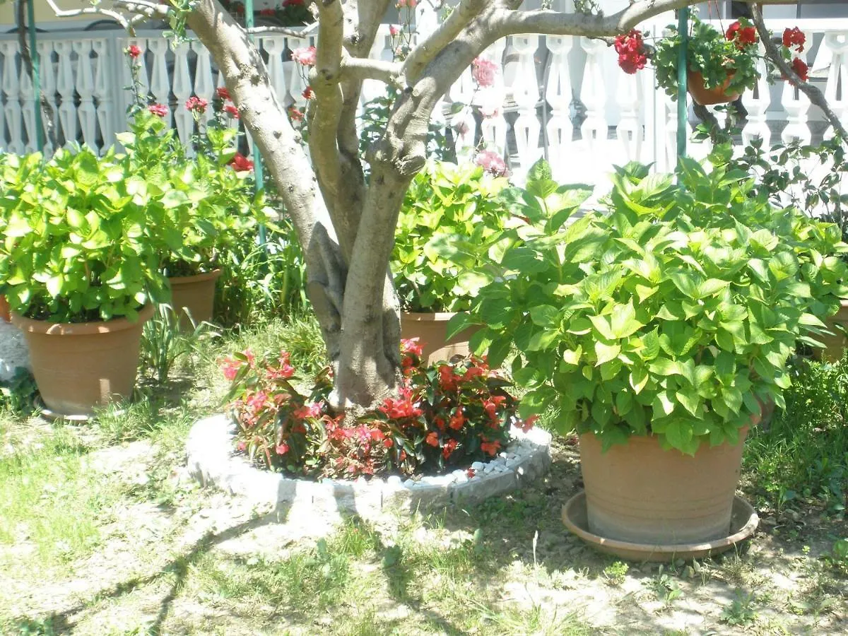 Apartmani I Sobe Mara Palit